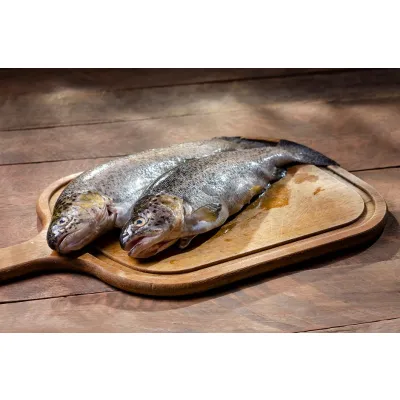 Fresh Trout Fillets